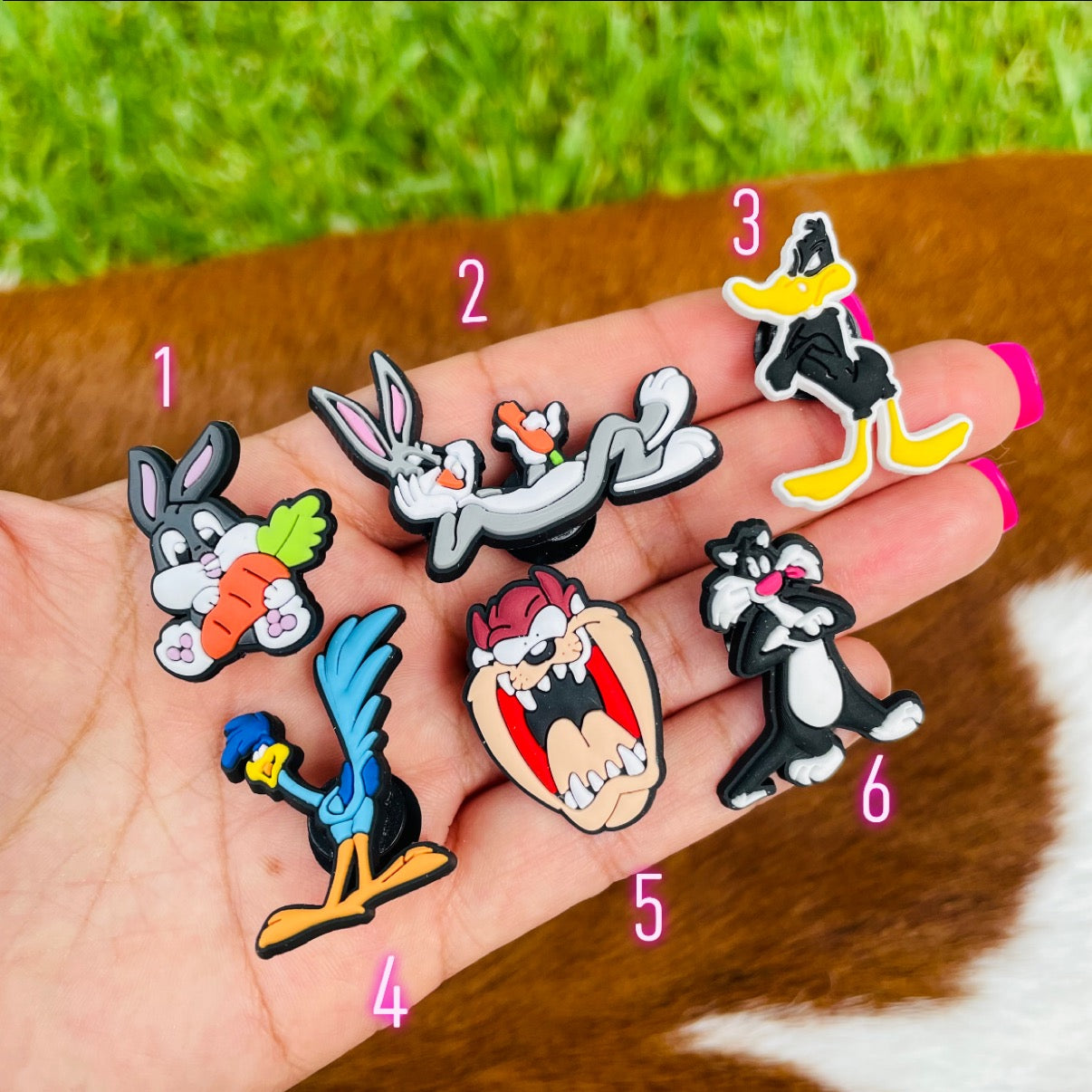 Looney Tunes Charms