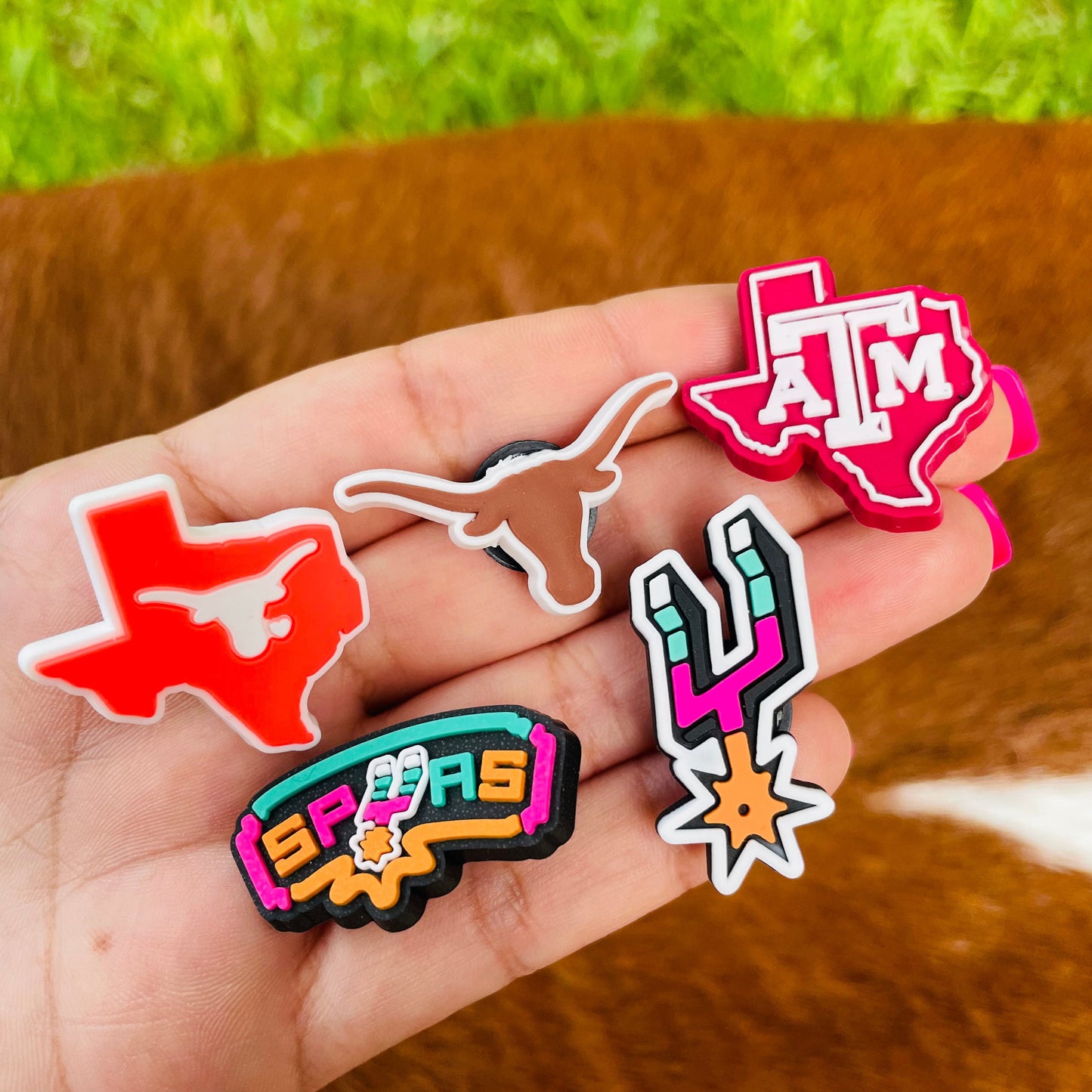 Texas Sports Team Charms