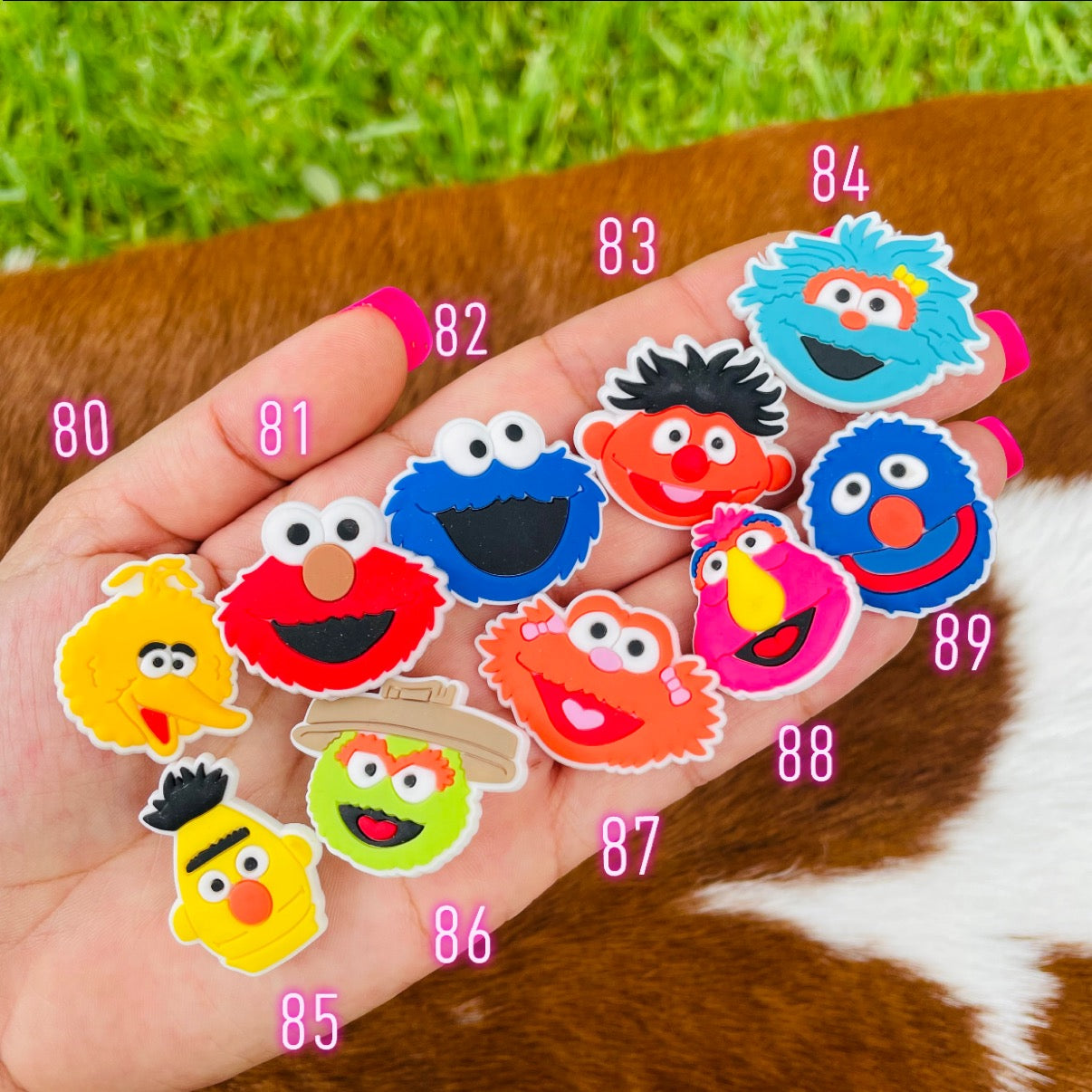Sesame Street Charms
