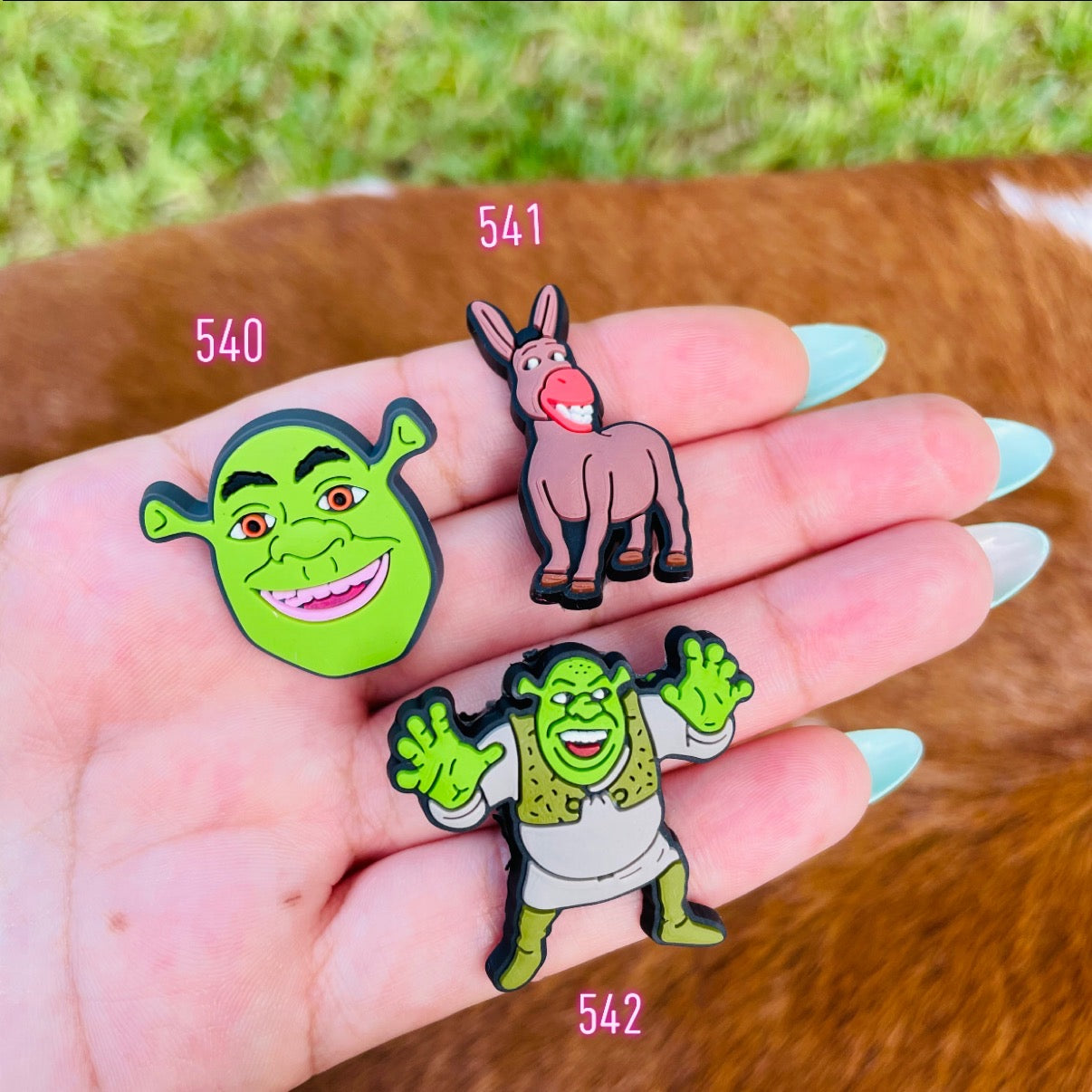 Shrek Charms