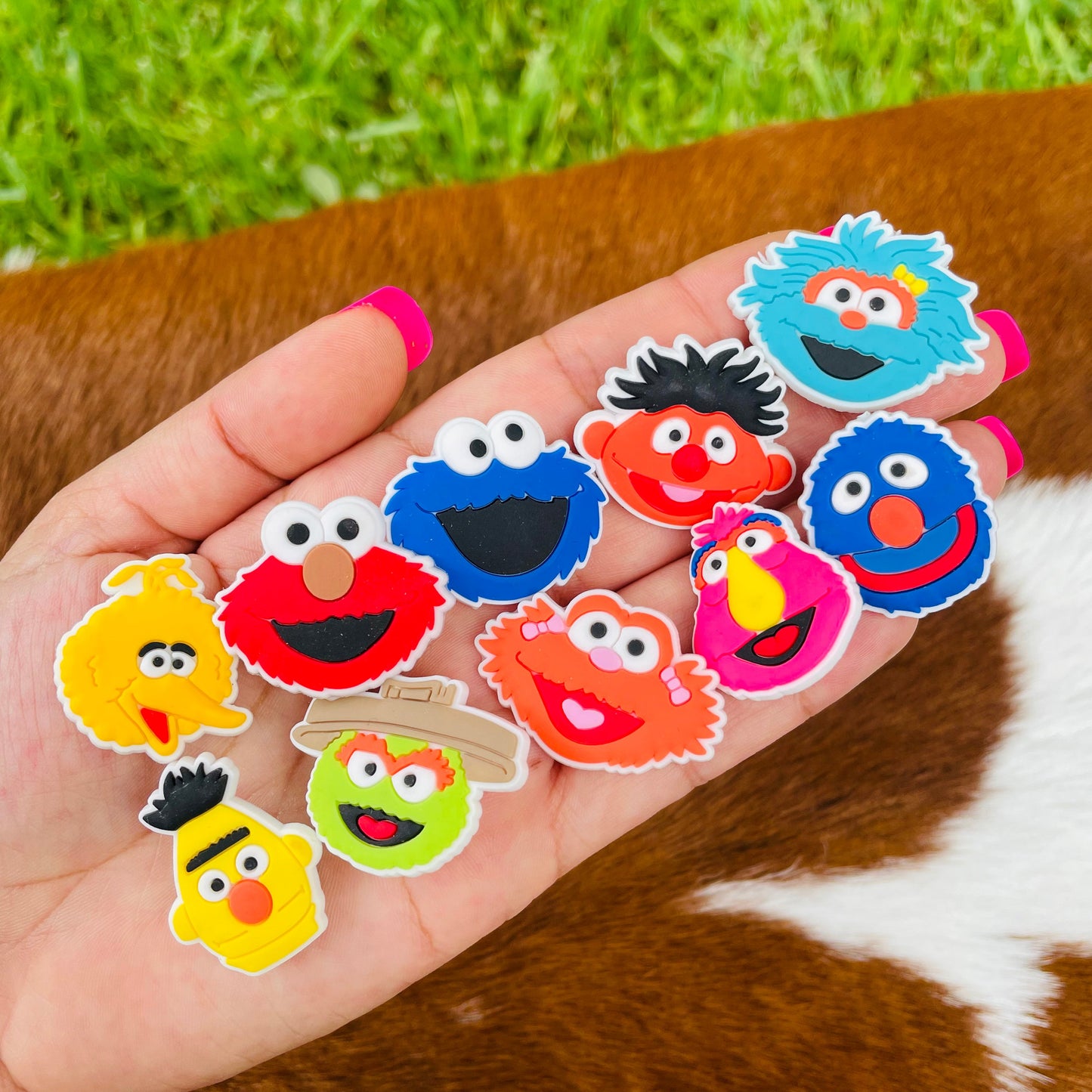Sesame Street Charms