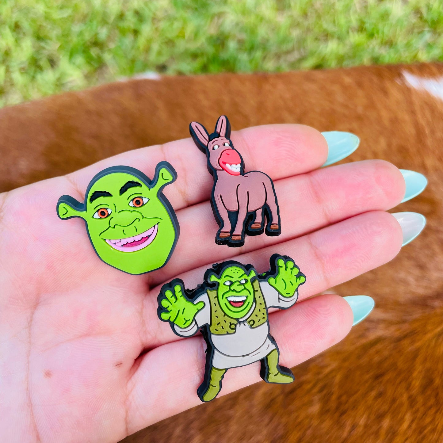Shrek Charms