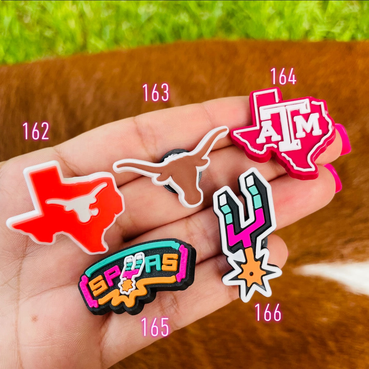 Texas Sports Team Charms