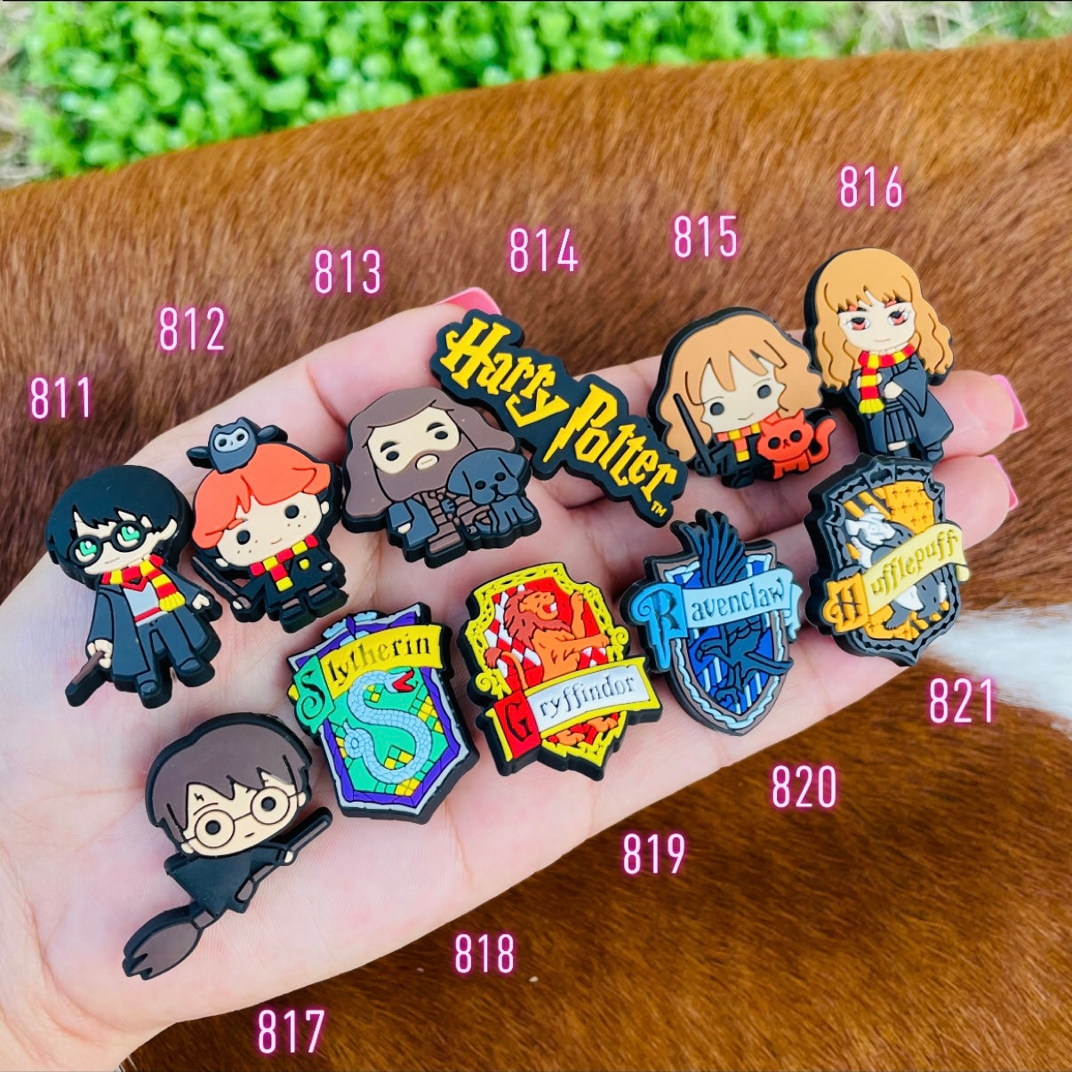 Harry Potter Charms