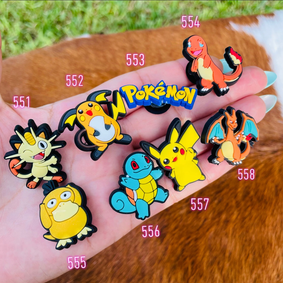 Pokémon Charms